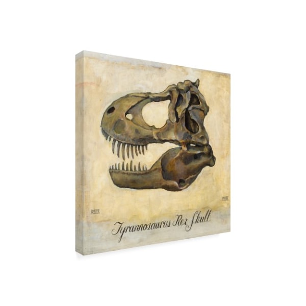 Daniel Patrick Kessler 'Tyrannosaurus Rex Skull' Canvas Art,35x35